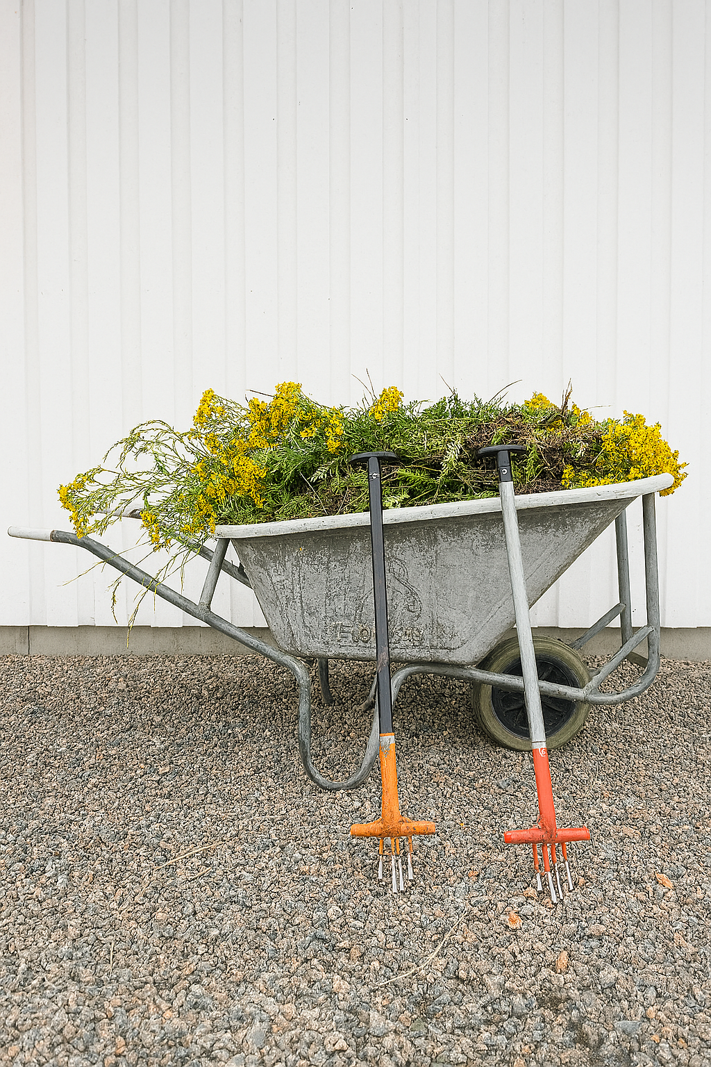 Weeding tools and spade for removing ragwort from horse pastures
